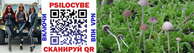Псилоцибиновые грибы Psilocybe  купить наркотики сайты  Реутов 